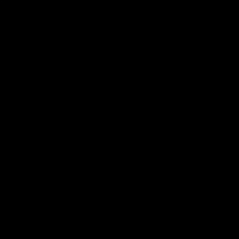 noir_l_3