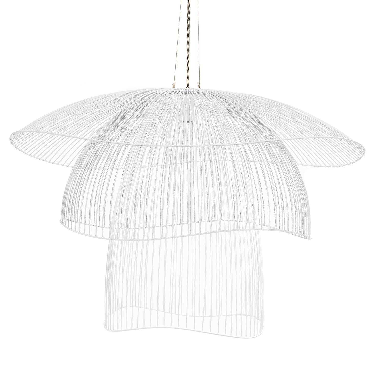 papillon_blanc