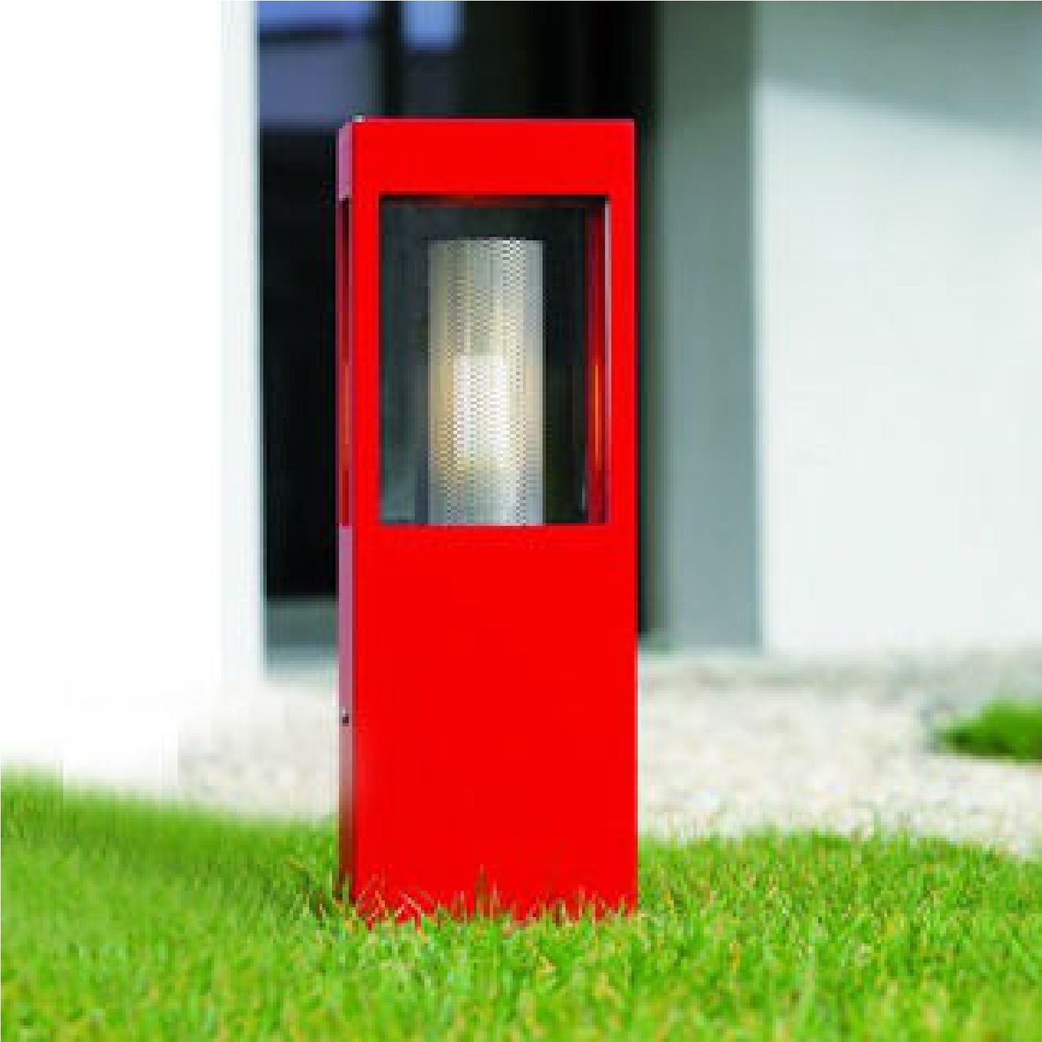tetra_borne-2