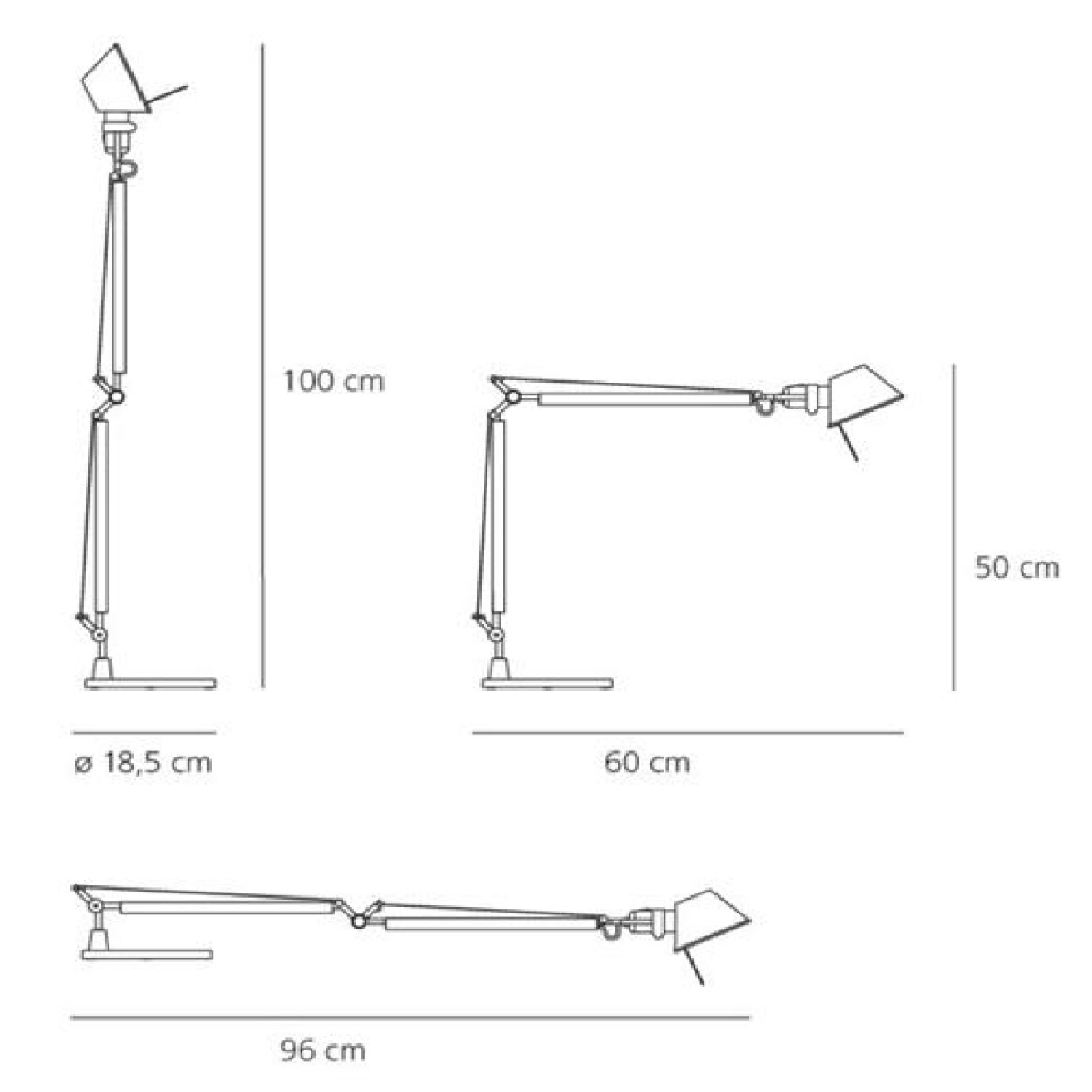 tolomeo_silhouette_3